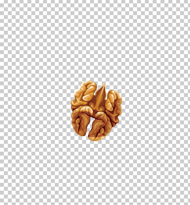 Walnut Dried Fruit PNG, Clipart, Adobe Illustrator, Commodity, Delicious, Delicious Food, Delicious Melon Free PNG Download
