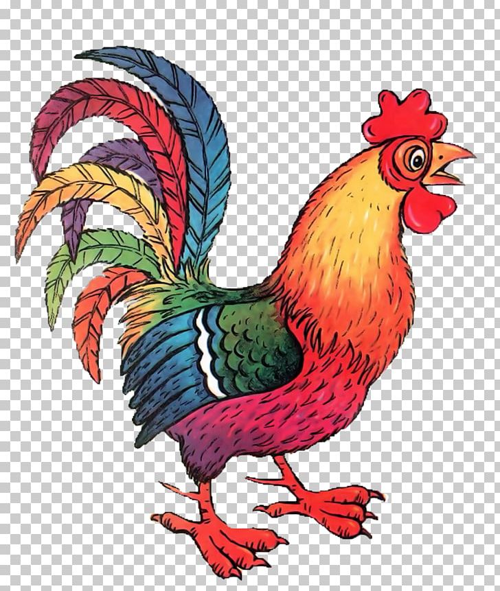 Chicken Drawing Rooster Png Clipart Free Png Download