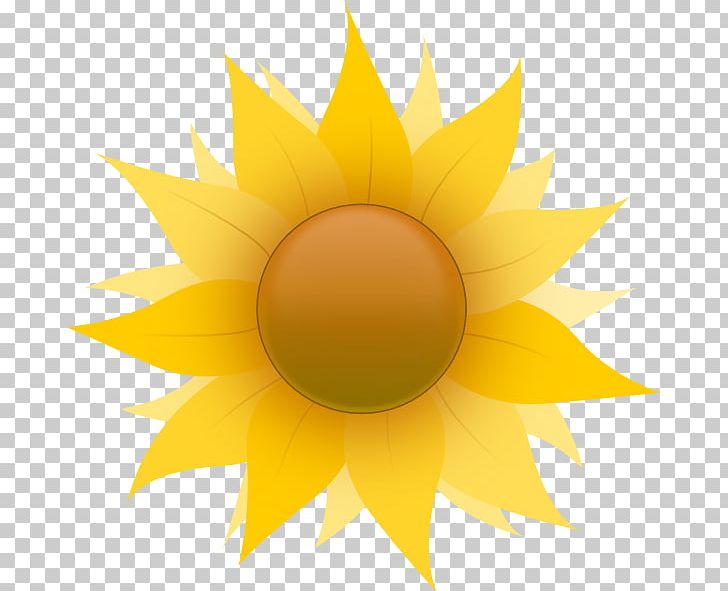 Common Sunflower PNG, Clipart, Art, Cartoon, Circle, Common Sunflower, Computer Icons Free PNG Download