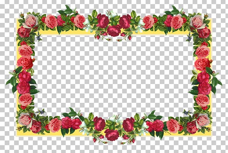 Frames PNG, Clipart, Boarders, Color, Cut Flowers, Decor, Desktop Wallpaper Free PNG Download