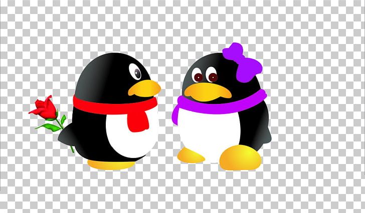 Tencent QQ Smartphone Nokia PNG, Clipart, Animals, Beak, Bird, Cartoon, Cartoon Penguin Free PNG Download
