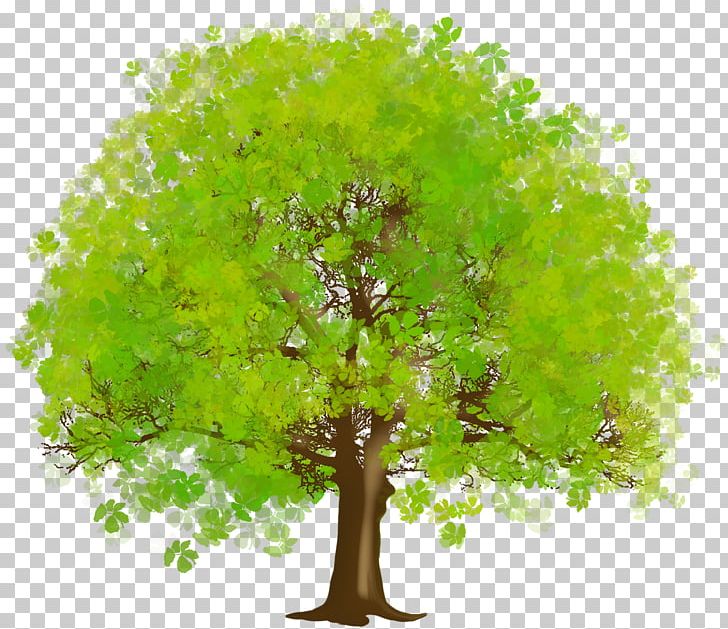 Tree Green PNG, Clipart, Aspen, Branch, Clip Art, Clipart, Computer Icons Free PNG Download