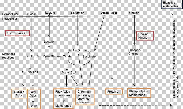 UC San Diego School Of Medicine Research Medical School Flowchart PNG, Clipart, Angle, Area, Arthritis, Cha, Document Free PNG Download