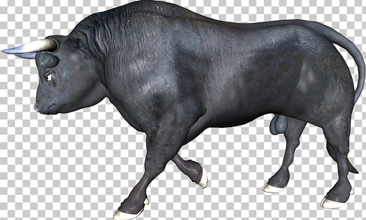 Zebu Ox Bull Water Buffalo PNG, Clipart, Animal, Animals, Buffalo Bull, Bull, Cattle Free PNG Download