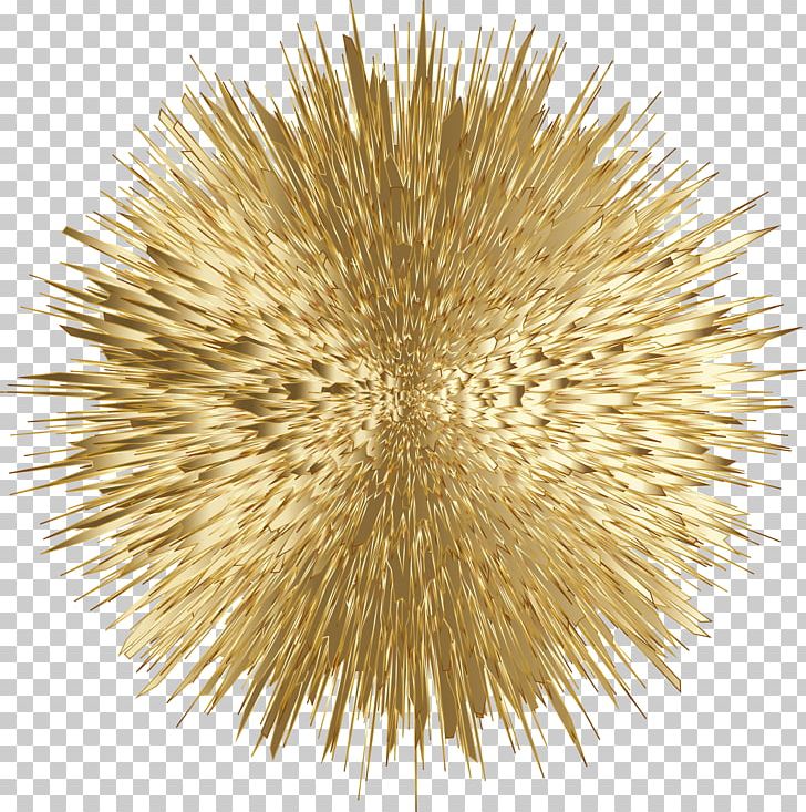 Adobe Fireworks PNG, Clipart, Adobe Fireworks, Commodity, Computer Icons, Echidna, Explosion Free PNG Download