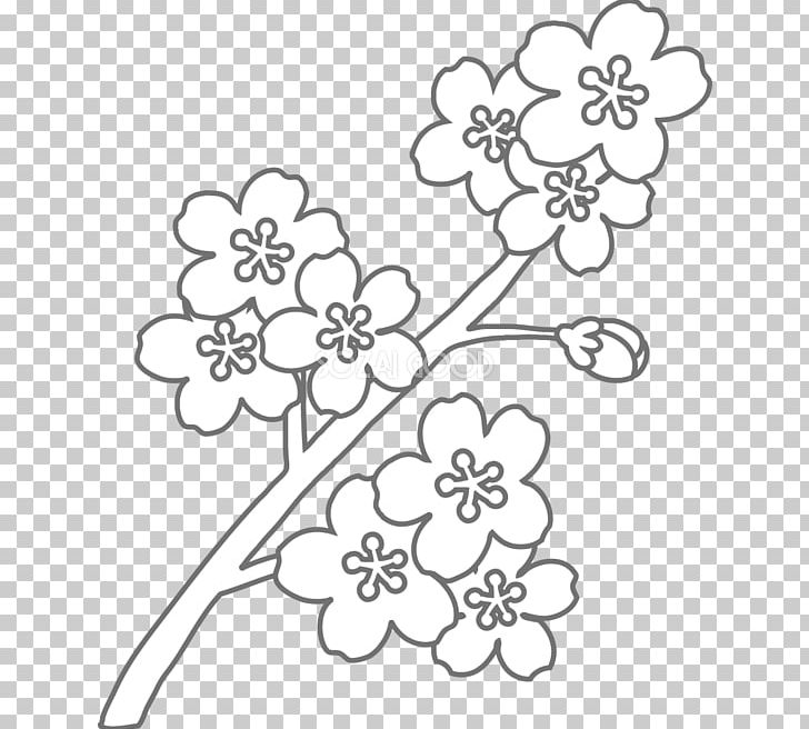 Coloring Book Floral Design Black And White PNG, Clipart, Art, Black And White, Branch, Cherry Blossom, Coloring Book Free PNG Download