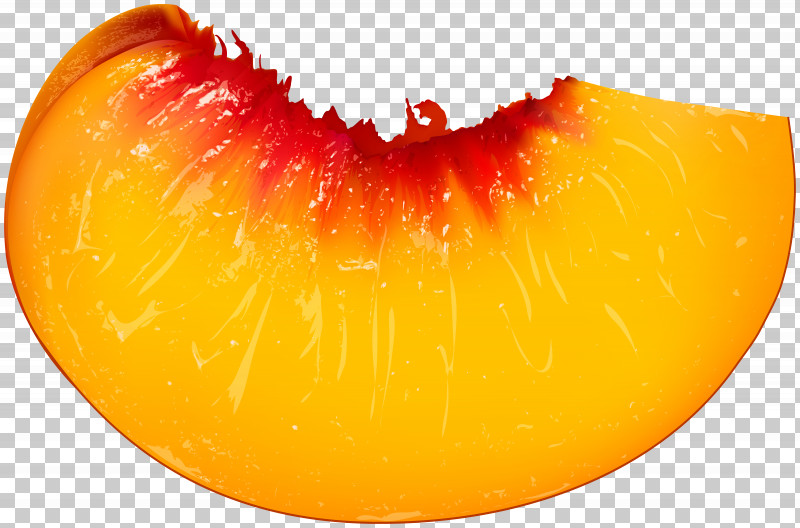 Orange PNG, Clipart, Accessory Fruit, Closeup, Food, Fruit, Lip Free PNG Download
