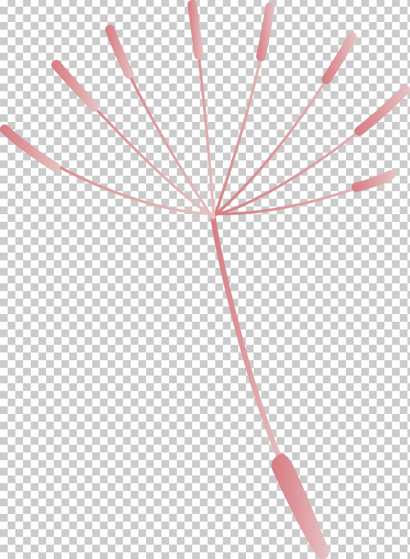 Dandelion PNG, Clipart, Dandelion, Geometry, Line, Mathematics, Meter Free PNG Download