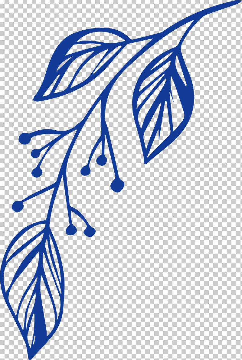 Simple Leaf Simple Leaf Drawing Simple Leaf Outline PNG, Clipart, Area, Biology, Black White M, Flower, Leaf Free PNG Download