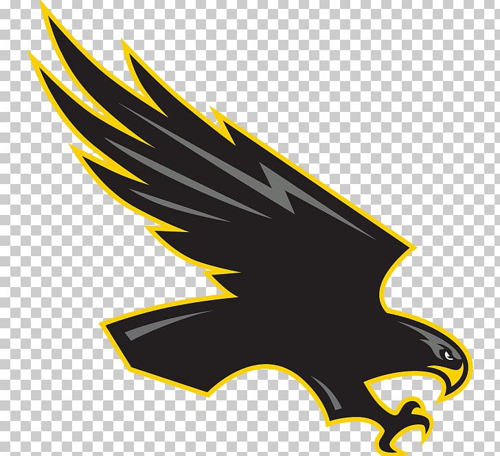 Central Lee Community School District Lakeland Junior High School Donnellson Central Lee High School National Secondary School PNG, Clipart, Beak, Bird, Bird Of Prey, Black And White, Central Lee High School Free PNG Download
