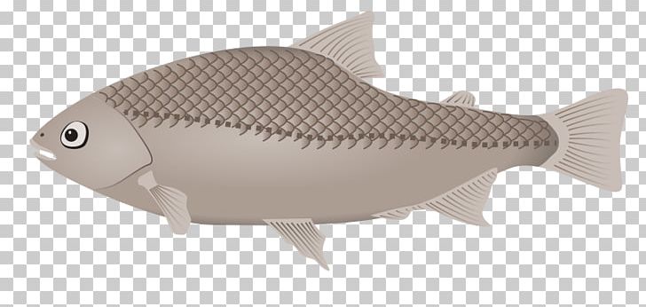 Fish PNG, Clipart, Animals, Blog, Bony Fish, Computer Icons, Download Free PNG Download