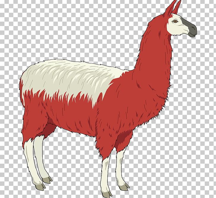 Llama Alpaca Free Content PNG, Clipart, Alpaca, Camel Like Mammal, Cartoon, Chicken, Download Free PNG Download