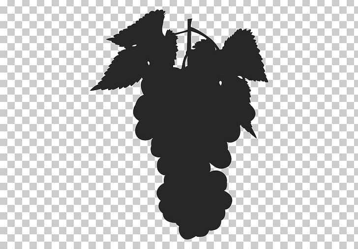 Madison County Winery Common Grape Vine Photography PNG, Clipart, Black And White, Common Grape Vine, Flowering Plant, Food Drinks, Fruit Free PNG Download