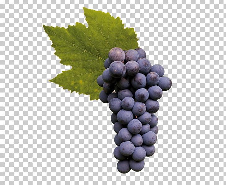 Sultana Asti DOCG Moscato D'Asti Grape PNG, Clipart,  Free PNG Download