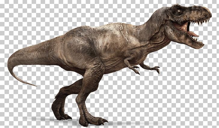 Tyrannosaurus Ankylosaurus Hell Creek Formation Meat-Eating Dinosaurs PNG, Clipart, Ankylosaurus, Carnivore, Coelurosauria, Dinosaur, Extinction Free PNG Download