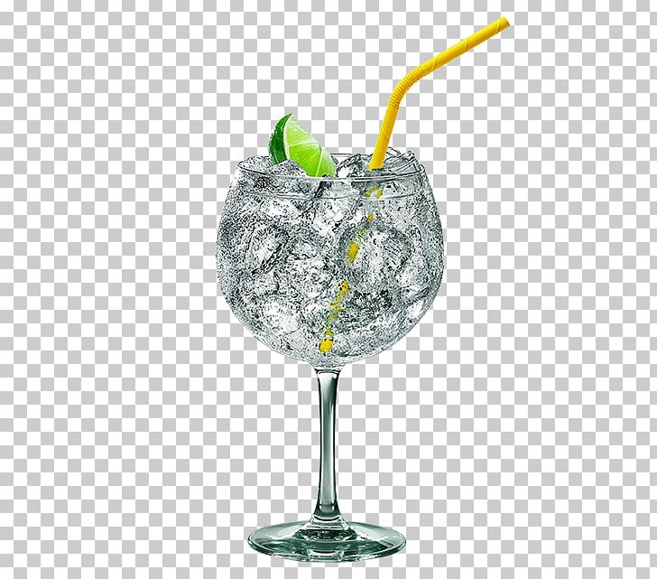Gin And Tonic Cocktail Garnish Tonic Water PNG, Clipart,  Free PNG Download