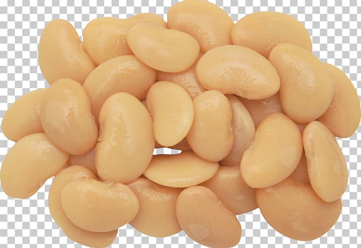 Navy Bean Common Bean Recipe Food PNG, Clipart, Bean, Carbohydrate, Chef, Commodity, Common Bean Free PNG Download