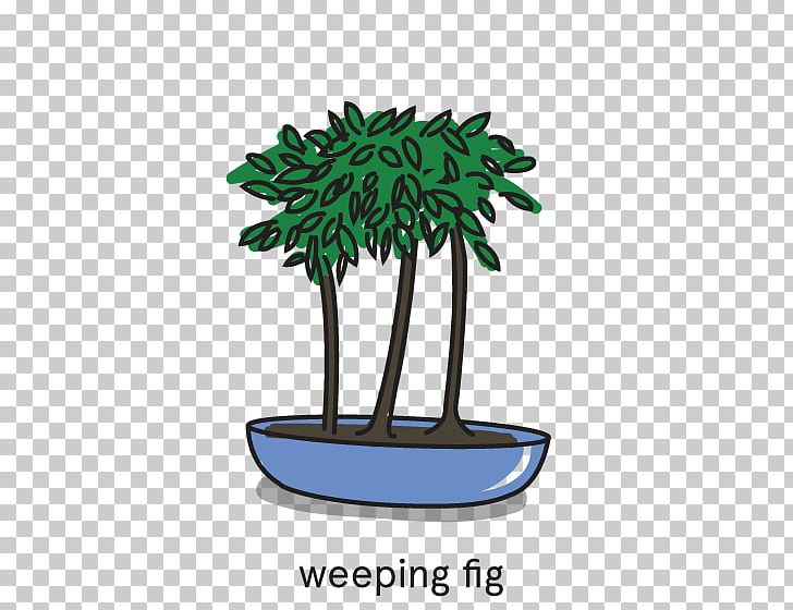 Tree Flowerpot Bonsai PNG, Clipart, Bonsai, Flowerpot, Floyd, Grass, Houseplant Free PNG Download