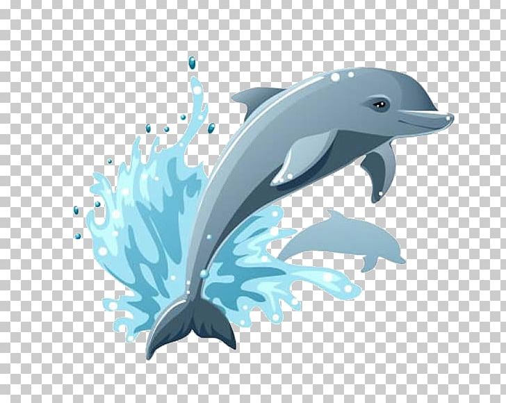 Cartoon Dolphin Drawing PNG, Clipart, Animals, Blue, Computer Wallpaper,  Cute Dolphin, Dolphins Free PNG Download