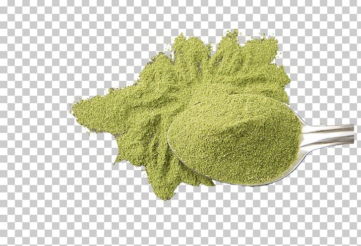 Green Tea Matcha Latte Uji PNG, Clipart, Background Green, Beverage, Bone, Delicious, Delicious Food Free PNG Download