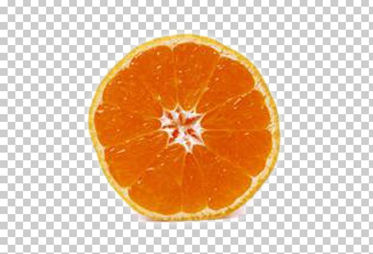 Tangerine Blood Orange Tangelo Clementine PNG, Clipart, Bitter Orange, Blood Orange, Circle, Citric Acid, Citrus Free PNG Download