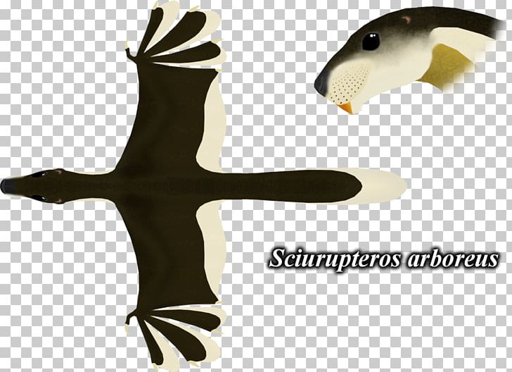 Artist World Pterosaurs PNG, Clipart, Art, Artist, Beak, Community, Deviantart Free PNG Download