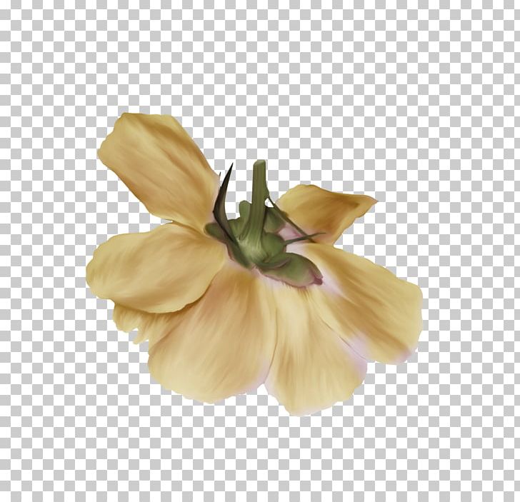 Flower Drawing PNG, Clipart, Comic, Cut Flowers, Drawing, Easter, Floral Design Free PNG Download