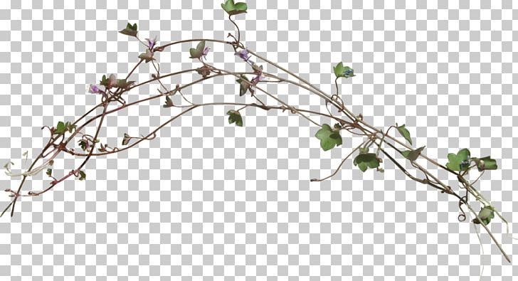 Twig Graphic Design Green PNG, Clipart, Art, Blue, Body Jewelry, Branch, Cut Flowers Free PNG Download