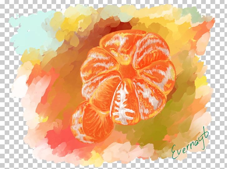 Grapefruit Mandarin Orange Tangerine