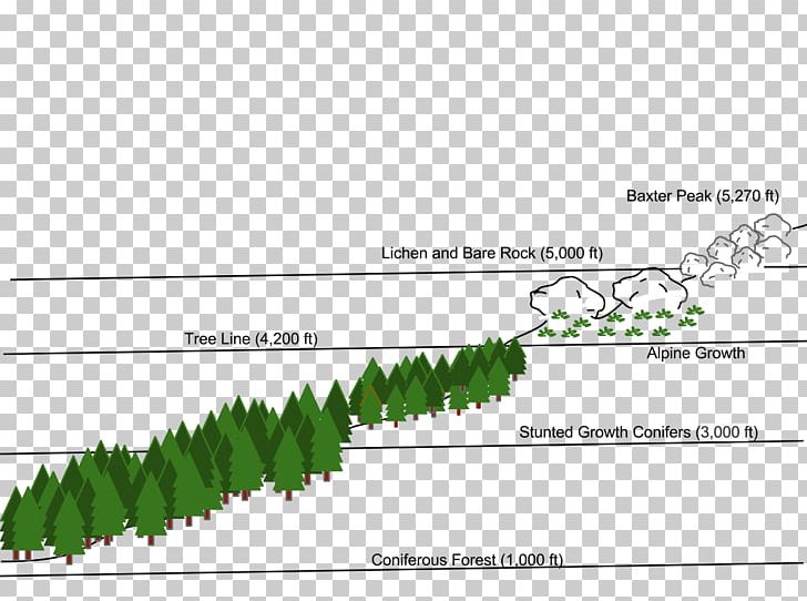 Mount Katahdin Millinocket Mount Rainier Mountain Leaf PNG, Clipart, Angle, Area, Baxter State Park, Border, Diagram Free PNG Download