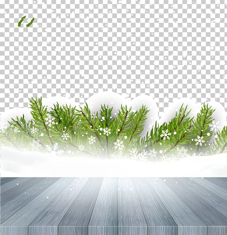 Snow PNG, Clipart, Angle, Christmas Snow, Dots Per Inch, Download, Euclidean Vector Free PNG Download