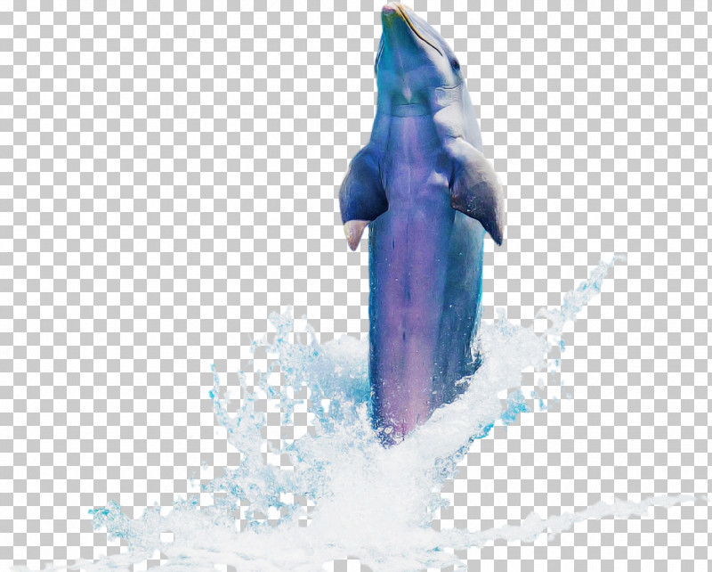 Blue Dolphin Cetacea Bottlenose Dolphin Blue Whale PNG, Clipart, Blue, Blue Whale, Bottlenose Dolphin, Cetacea, Dolphin Free PNG Download