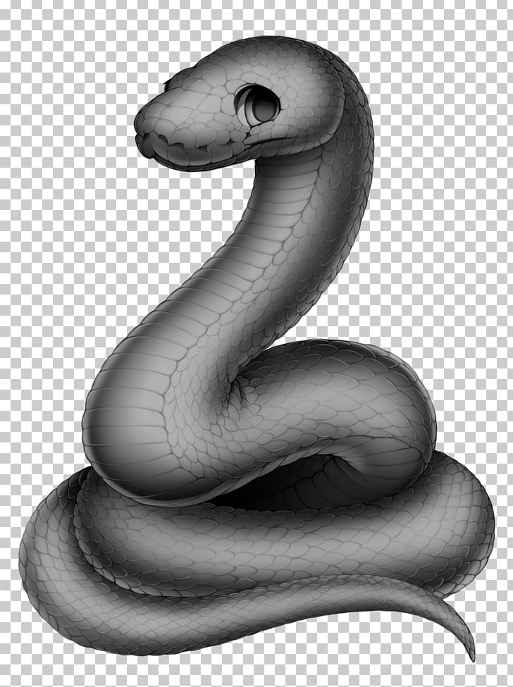 Cape File Snake Serpent Cobra PNG, Clipart, Affinity, Animals, Base, Bit, Black And White Free PNG Download