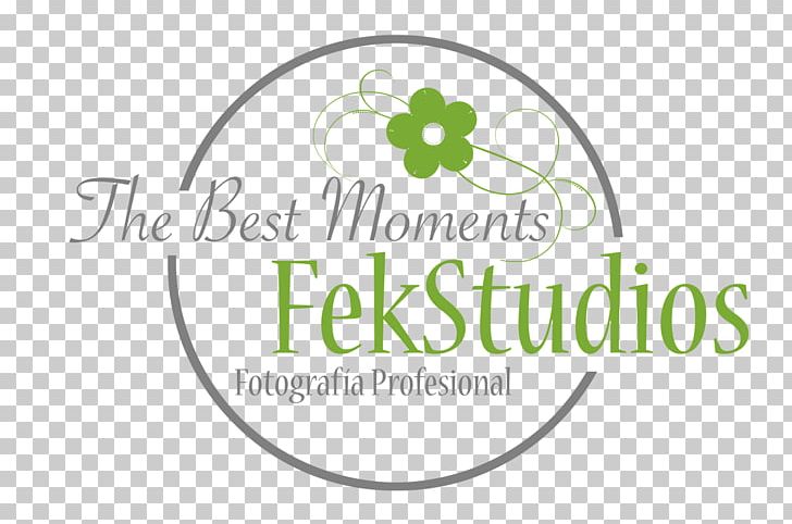 Fekstudios Birthday Logo Cake Infant PNG, Clipart, Area, Birthday, Brand, Cake, Cas Free PNG Download