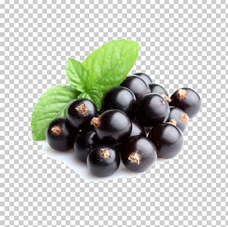 Kompot Blackcurrant Redcurrant Gelatin Dessert Berry PNG, Clipart, Berry, Bilberry, Blackberry, Blackcurrant, Blueberry Free PNG Download