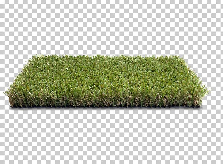 Lawn Grass Votre Pelouse Artificial Turf Garden PNG, Clipart, Artificial Turf, Garden, Lawn Grass, Pelouse Free PNG Download