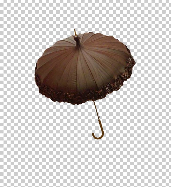 Umbrella PNG, Clipart, Adobe Illustrator, Beach Umbrella, Brown, Brown Background, Brown Dog Free PNG Download