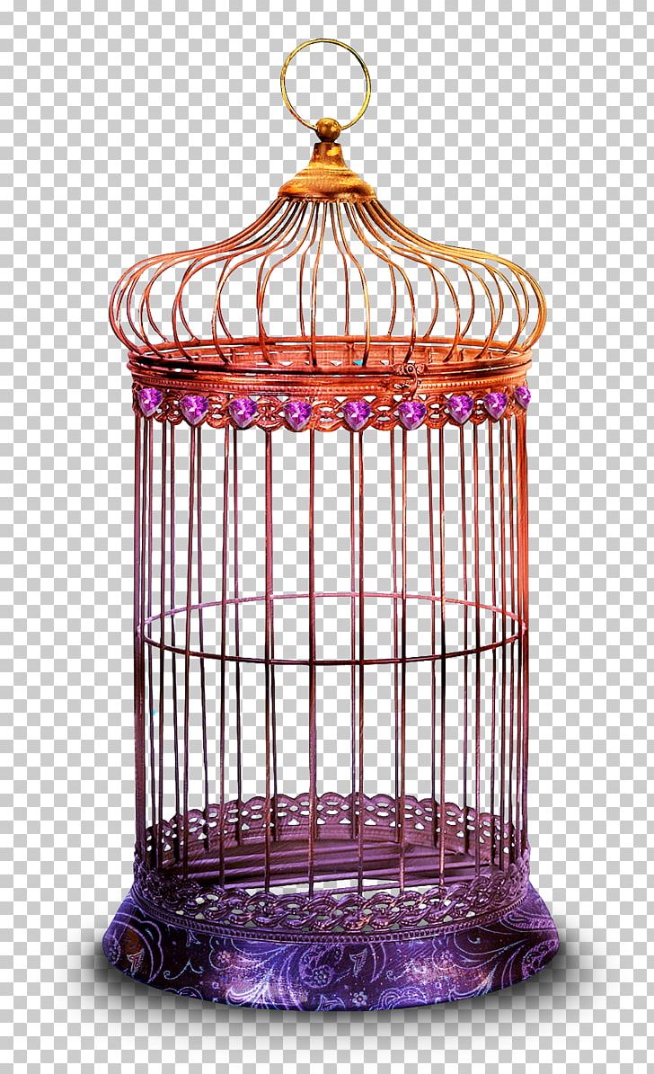 Birdcage Parrot Wedding PNG, Clipart, Aarna Exports, Animals, Bird, Birdcage, Cage Free PNG Download