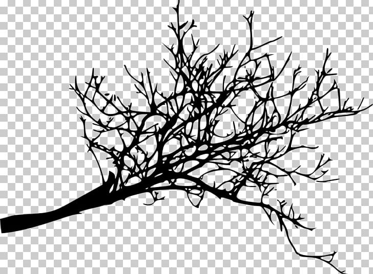 Branch Twig Tree Woody Plant PNG, Clipart, Artwork, Black And White, Branch, Flora, Flower Free PNG Download
