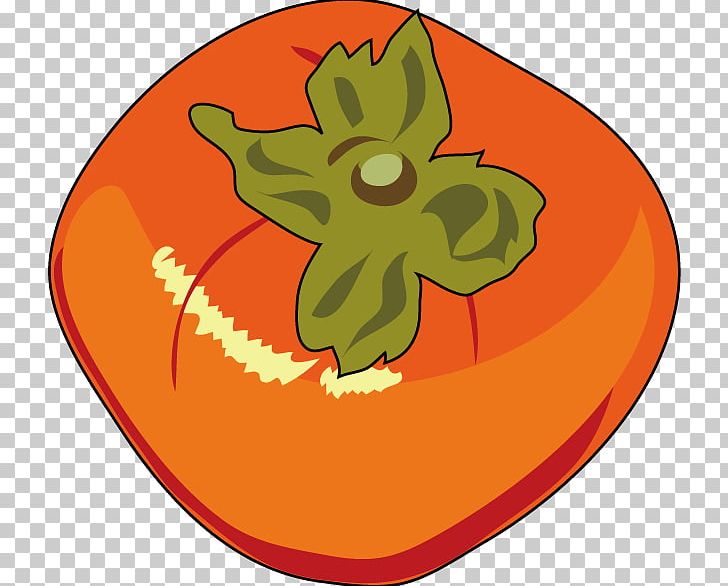 Fruit Illustration Japanese Persimmon Oyster PNG, Clipart, Apple, Autumn, Circle, Flower, Food Free PNG Download