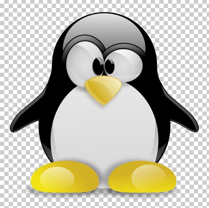 Tux Racer Tux Typing Penguin Linux PNG, Clipart, Android, Beak, Bird, Computer Software, Flightless Bird Free PNG Download
