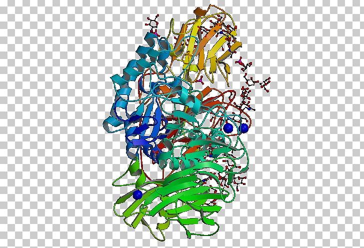 Beta-galactosidase Galactosidases Lactase Enzyme Glycoside Hydrolase PNG, Clipart, 1 Tg, Artwork, Beta, Betagalactosidase, Betaglucosidase Free PNG Download