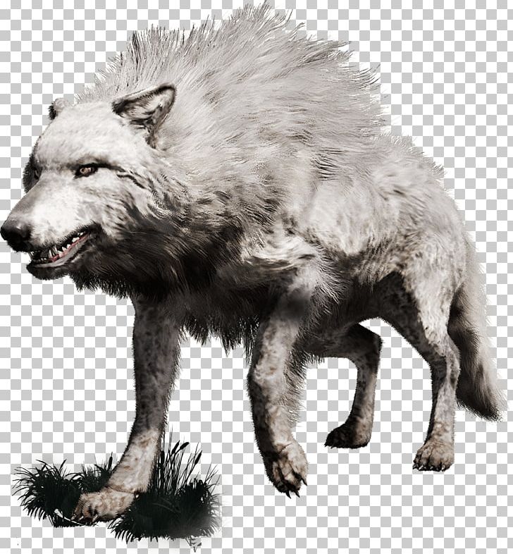Far Cry Primal Gray Wolf PlayStation 4 Far Cry 4 PNG, Clipart, Canis Lupus Tundrarum, Carnivoran, Cave Bear, Dire Wolf, Dog Like Mammal Free PNG Download