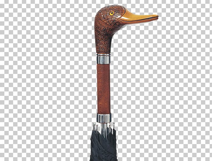 Mallard Assistive Cane Umbrella Walking Stick PNG, Clipart, Assistive Cane, Bastone, Beak, Bird, Concord Free PNG Download