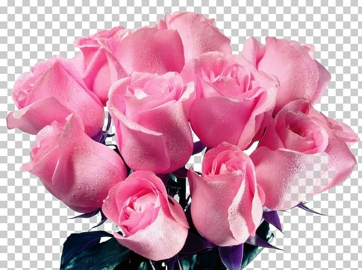Rose Pink Definition Red Color PNG, Clipart, Artificial Flower, Blue, Color, Concept, Cut Flowers Free PNG Download
