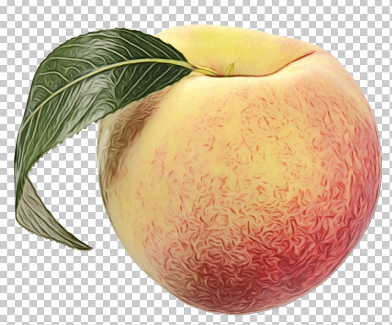 Peach Apple Apple PNG, Clipart, Apple, Paint, Peach, Watercolor, Wet Ink Free PNG Download