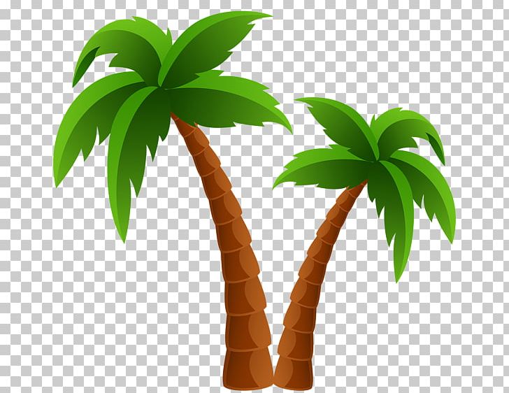 Christmas Palm Trees Open California Palm PNG, Clipart, Arecaceae, Arecales, Coconut, Computer Icons, Date Palm Free PNG Download