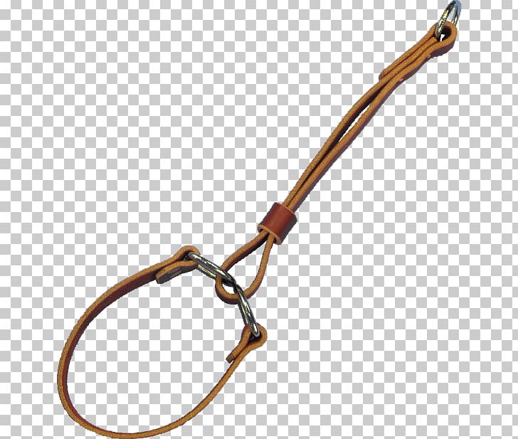 Clothing Accessories Leash Fashion PNG, Clipart, Bit, Clothing Accessories, Fashion, Fashion Accessory, Leash Free PNG Download