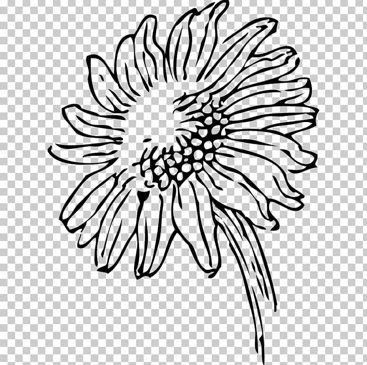 Common Sunflower Free Content PNG, Clipart, Artwork, Black, Black And White, Chrysanths, Circle Free PNG Download