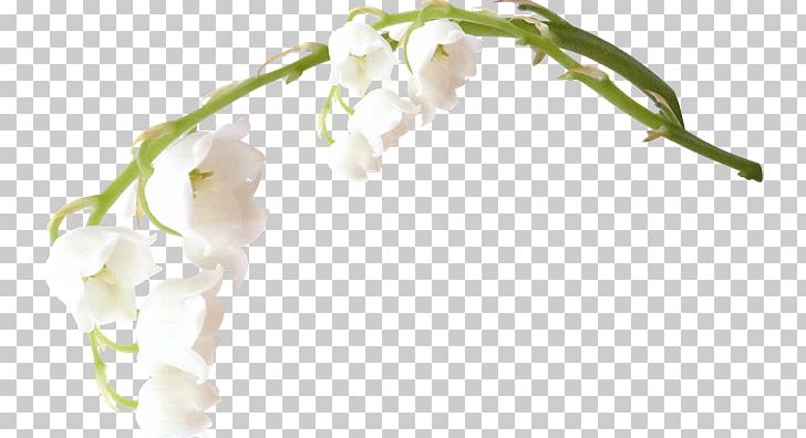 Flower PNG, Clipart, Beyaz Cicekler, Branch, Cicekler, Clip Art, Flower Free PNG Download